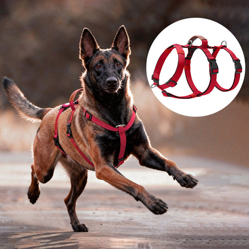No Pull Dog Harness - Harnais pour chien en Nylon anti-fuite