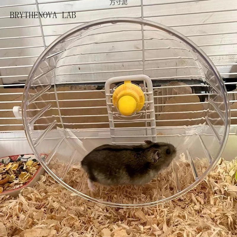 Hamster Cage Wheel - Roue de course pour hamster avec