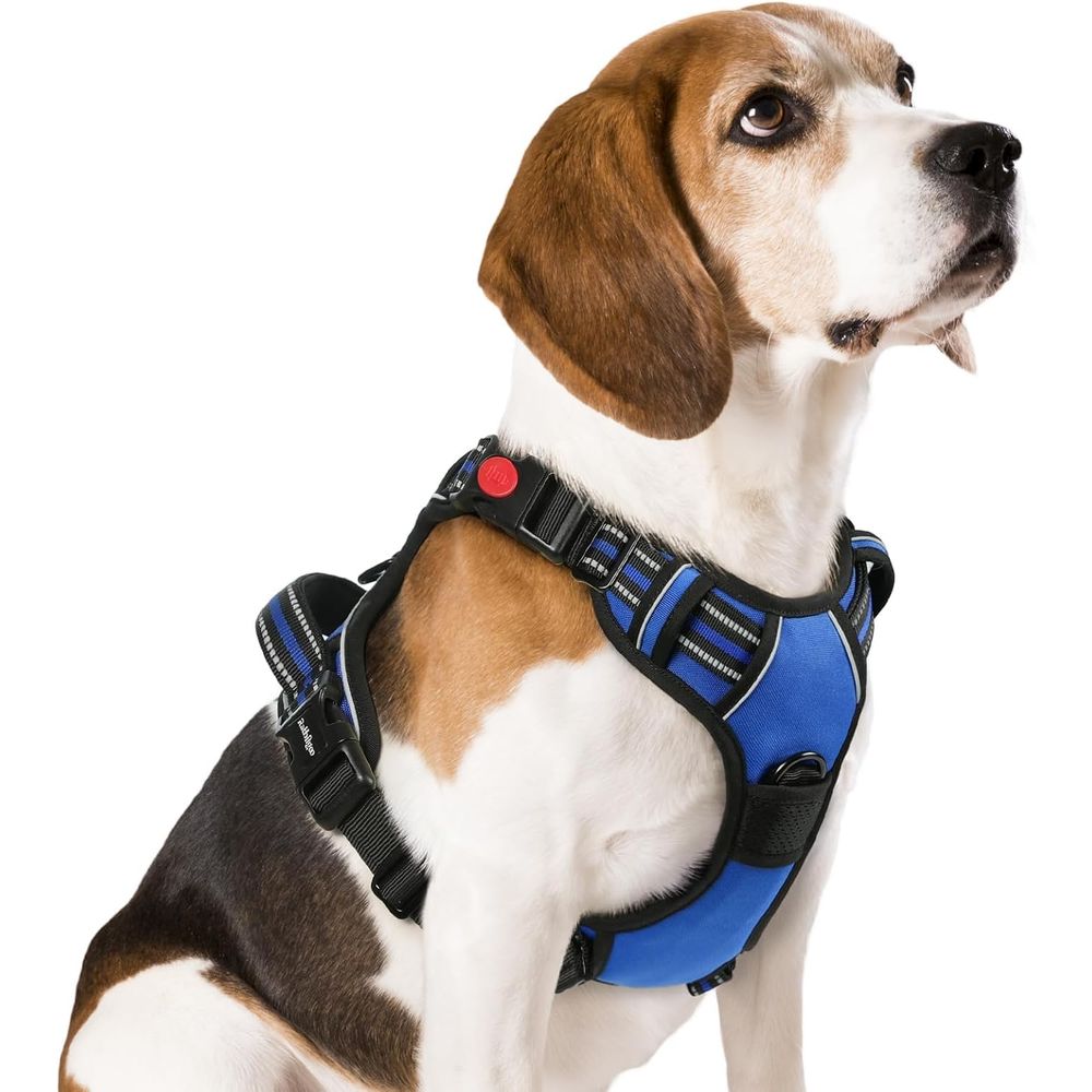 No Pull Dog Harness - Harnais pour chien de taille moyenne,