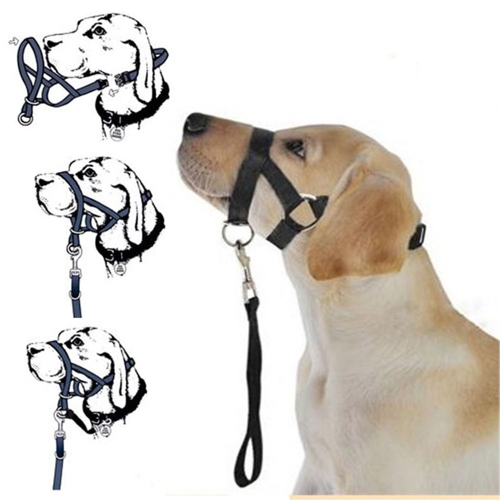 No Pull Dog Harness - Laisse d'entraînement en nylon anti-traction, harnais