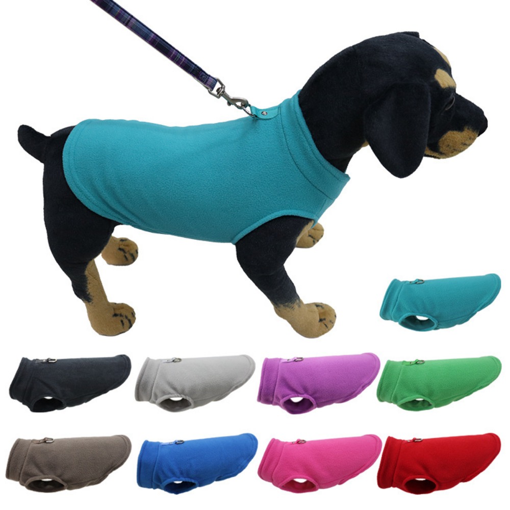 Pet Supplies Amazon - Vêtements pour animaux de compagnie Europe,