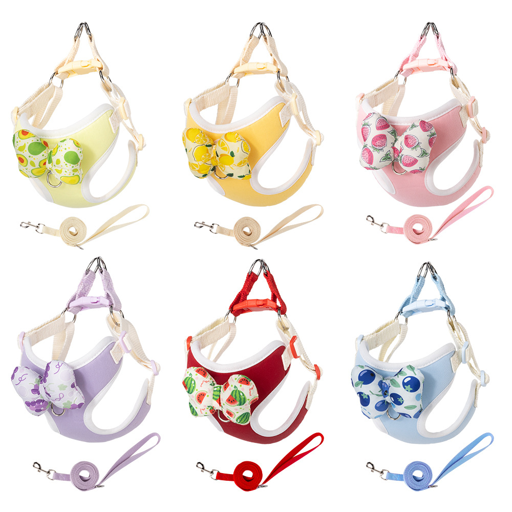 No Pull Dog Harness - Nouvel ensemble harnais et laisse 2026
