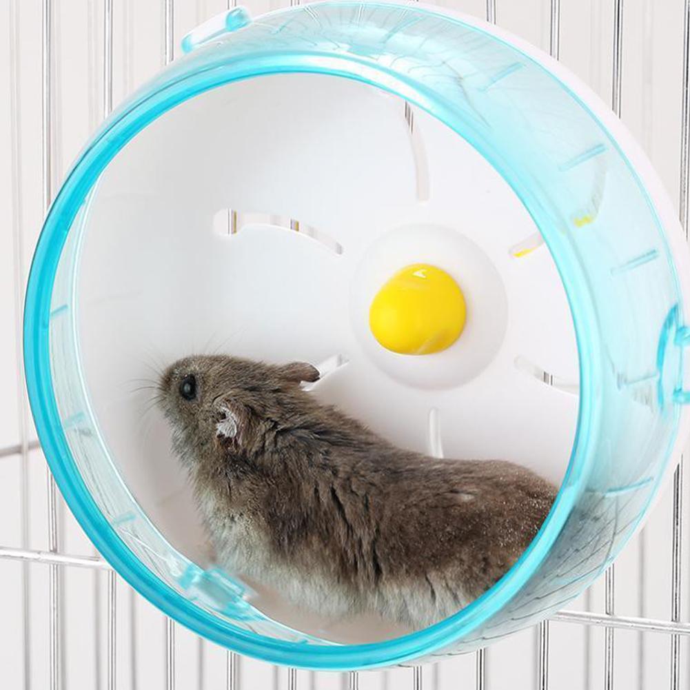 Hamster Cage Wheel - Jouet de disque de course pour