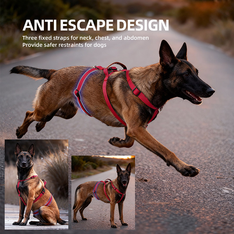 Harnais pour chien en Nylon an - No Pull Dog Harness avis et prix