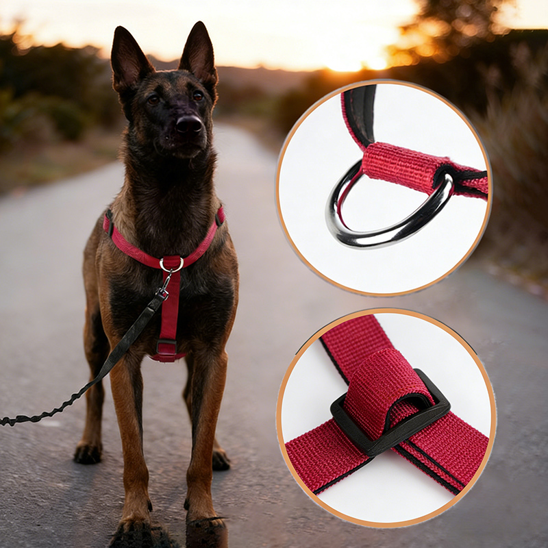 Harnais pour chien en Nylon an - No Pull Dog Harness avis et prix