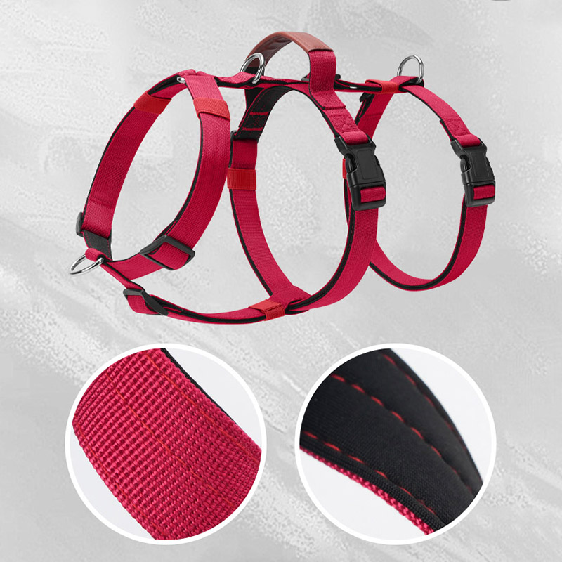 Harnais pour chien en Nylon an - No Pull Dog Harness avis et prix