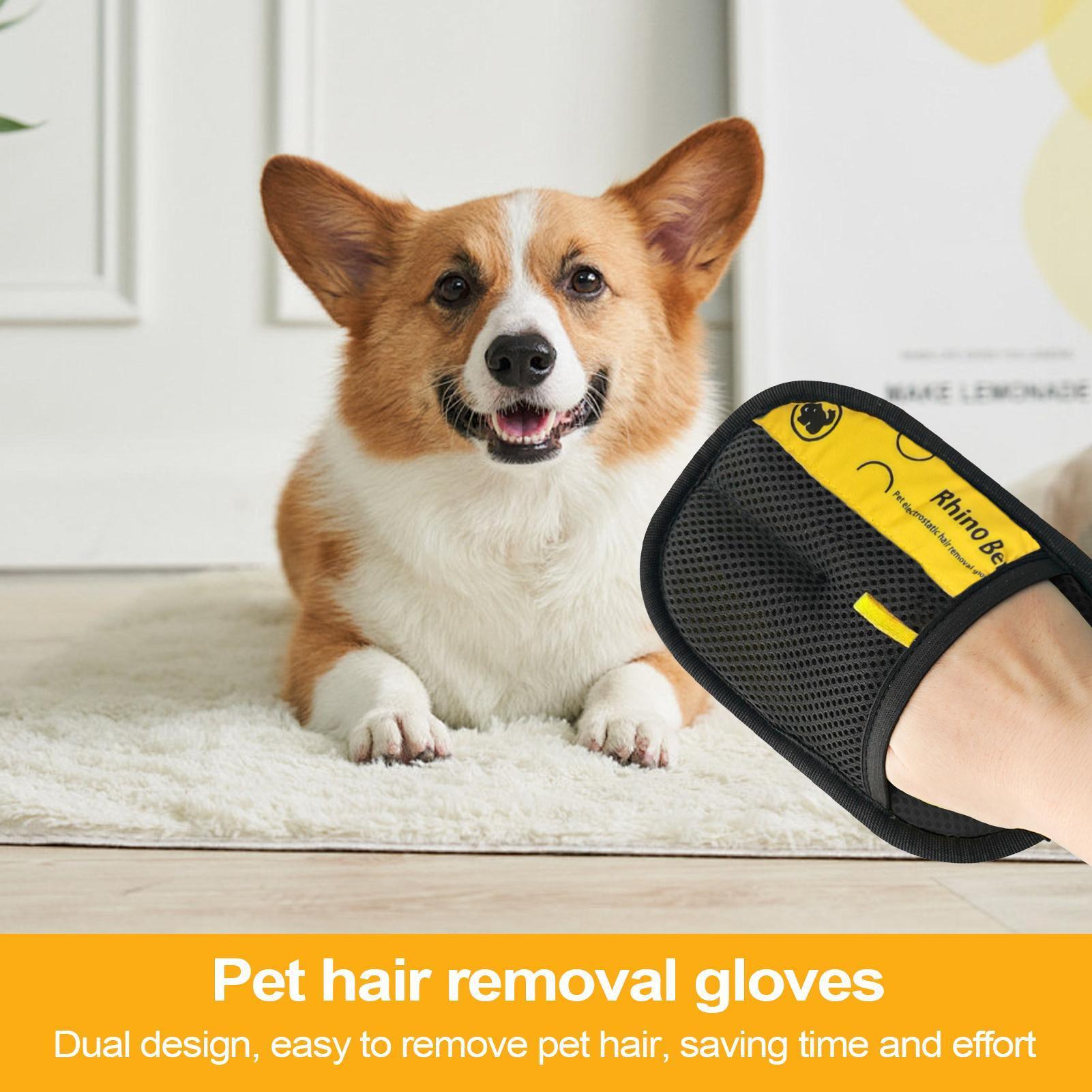 2 gants de toilettage pour cha - Pet Grooming Glove avis et prix