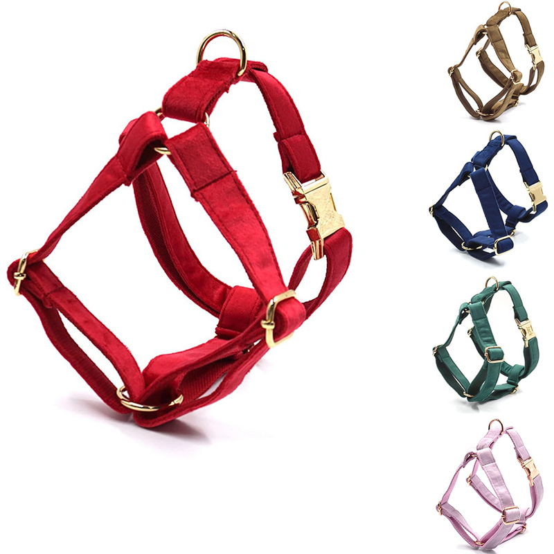 Harnais personnalisé pour chie - No Pull Dog Harness avis et prix
