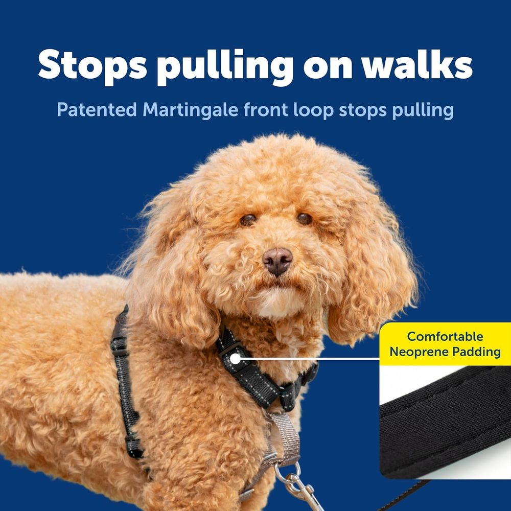 Harnais anti-traction 3 en 1 p - No Pull Dog Harness avis et prix