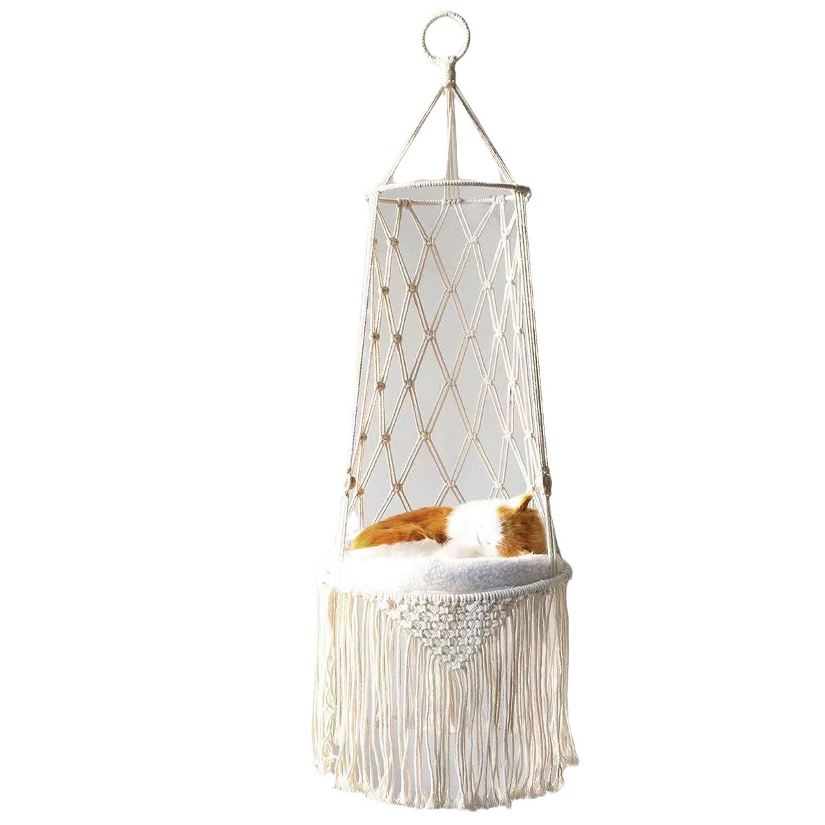 Perche de fenêtre pour chat d' - Cat Window Perch avis et prix