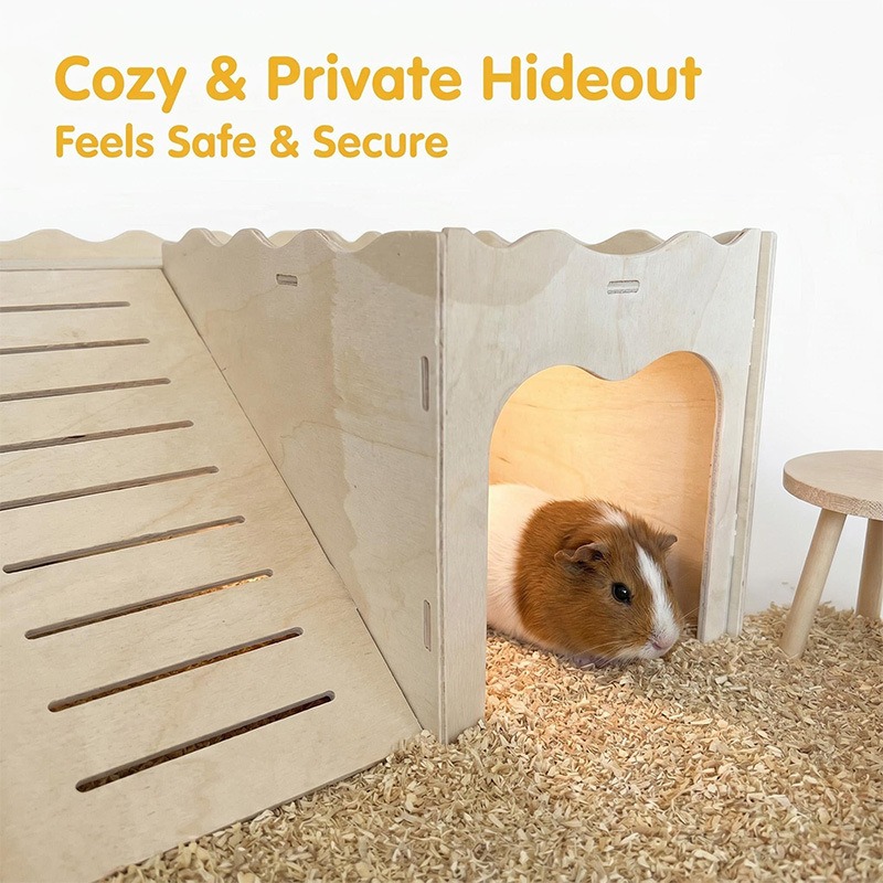 Jouets en bois pour hamsters A - Pet Supplies Amazon avis et prix