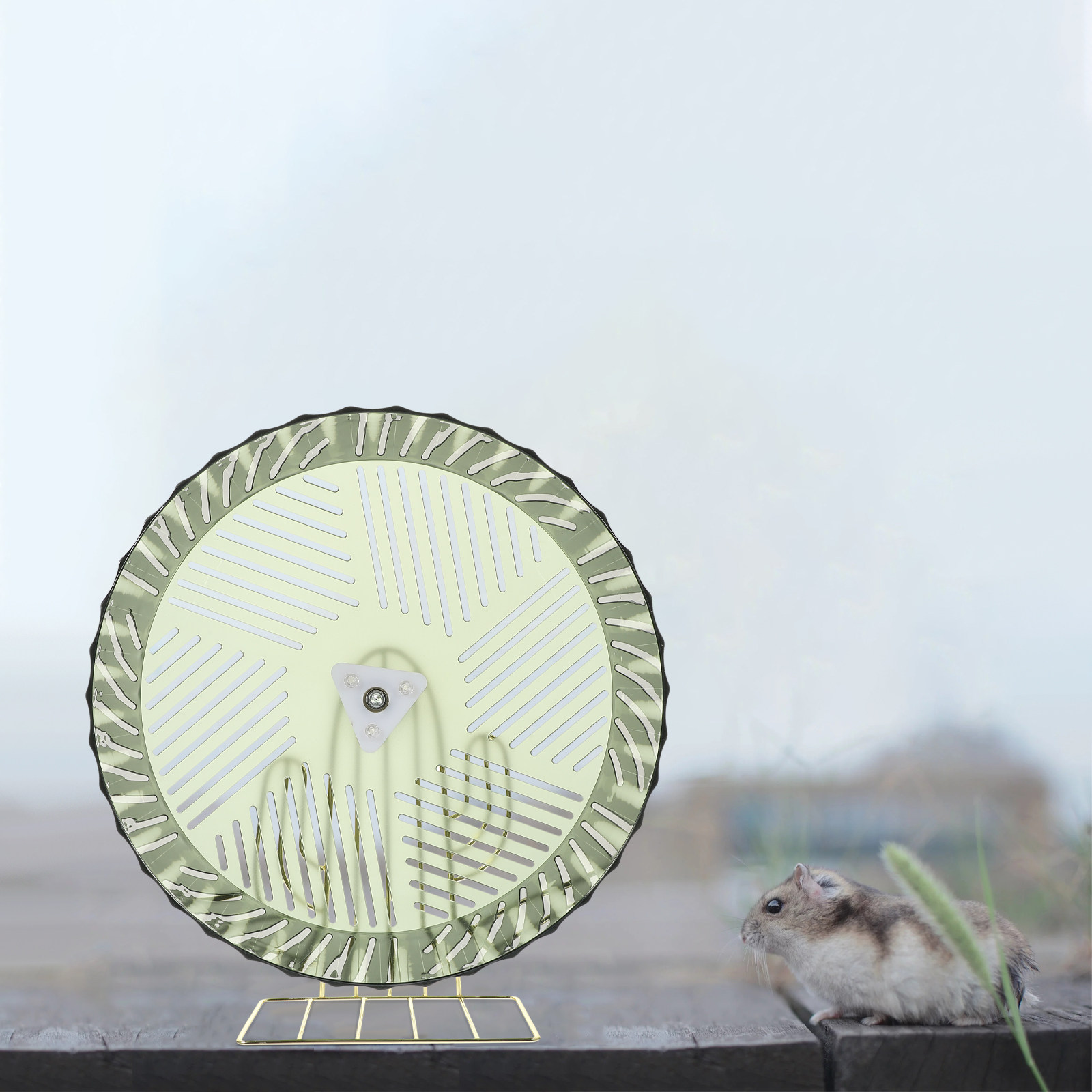 Roue d'exercice pour hamster,  - Hamster Cage Wheel avis et prix