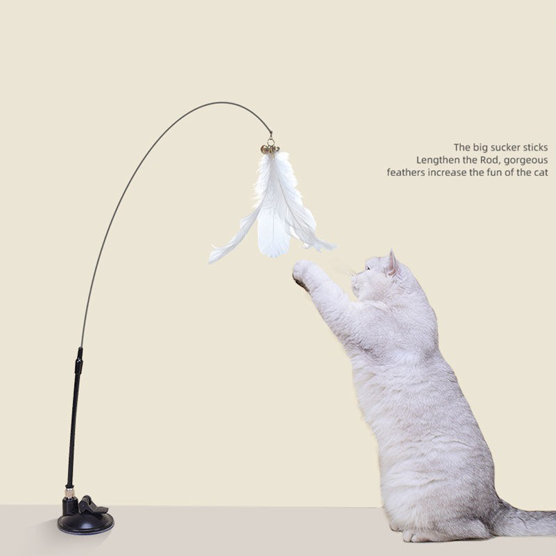 Nouvelle bâtonne de chatouilla - Pet Supplies Amazon avis et prix