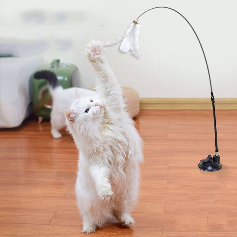Nouvelle bâtonne de chatouilla - Pet Supplies Amazon avis et prix