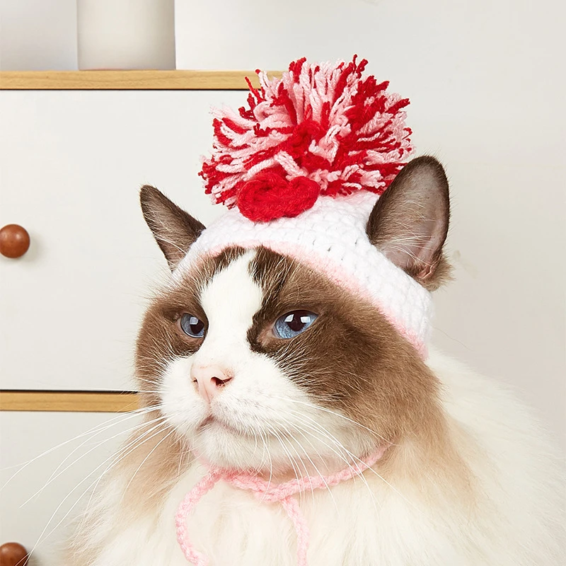 Chapeau tricoté pour animaux d - Pet Supplies Amazon avis et prix
