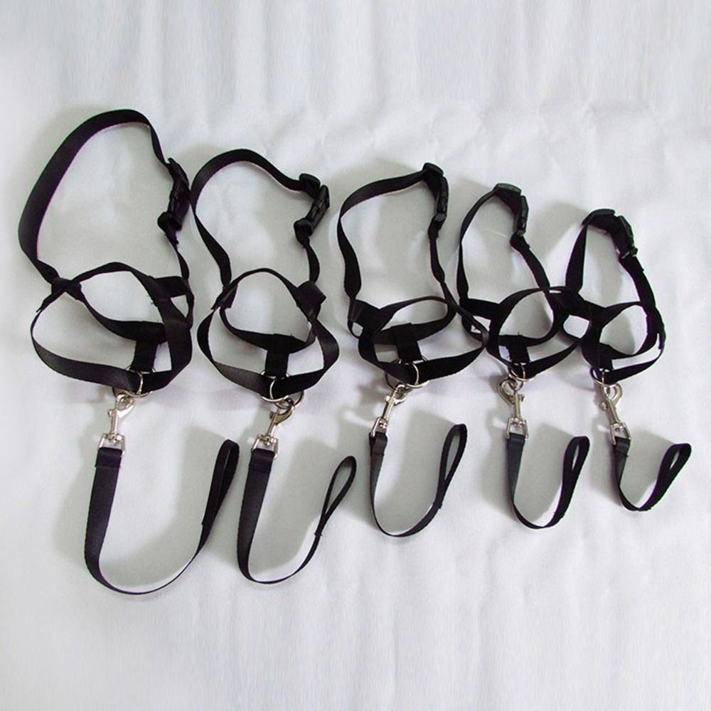Laisse d'entraînement en nylon - No Pull Dog Harness avis et prix