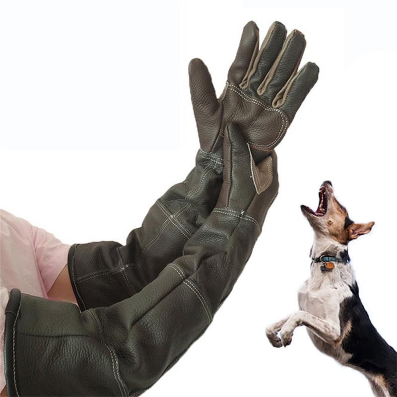 Gants pour animaux de compagni - Pet Grooming Glove avis et prix