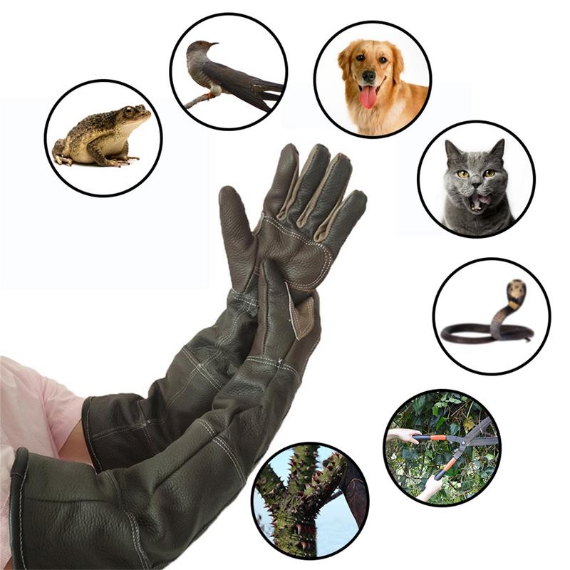Gants pour animaux de compagni - Pet Grooming Glove avis et prix