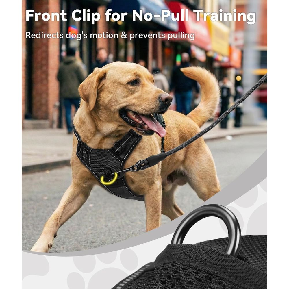 Harnais anti-traction pour chi - No Pull Dog Harness avis et prix
