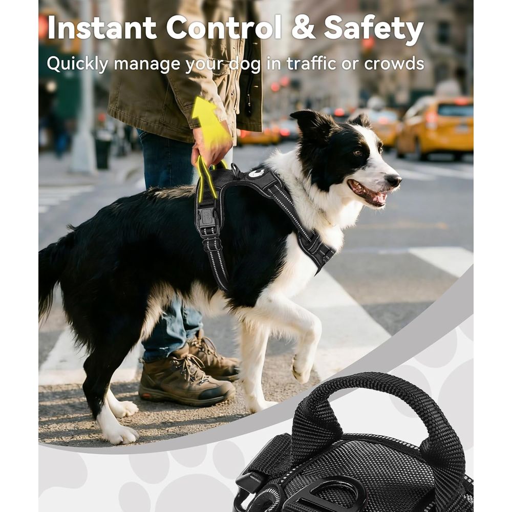 Harnais anti-traction pour chi - No Pull Dog Harness avis et prix