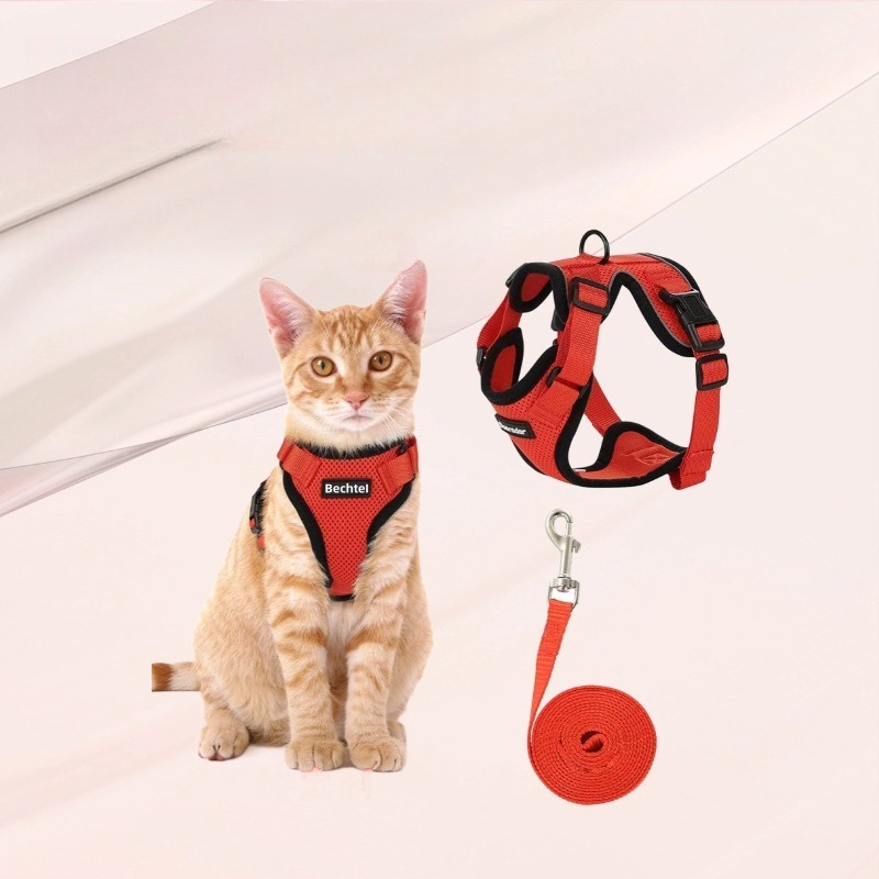 Harnais de poitrail réfléchiss - Pet Supplies Amazon avis et prix