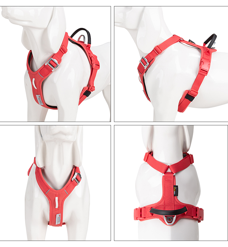 Harnais pour chien anti-tracti - No Pull Dog Harness avis et prix