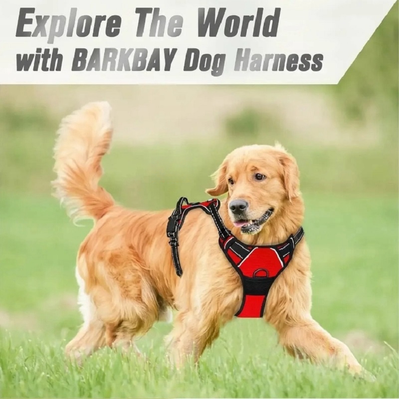 Harnais anti-traction pour chi - No Pull Dog Harness avis et prix