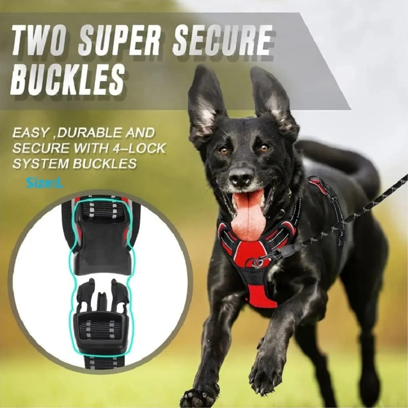 Harnais anti-traction pour chi - No Pull Dog Harness avis et prix