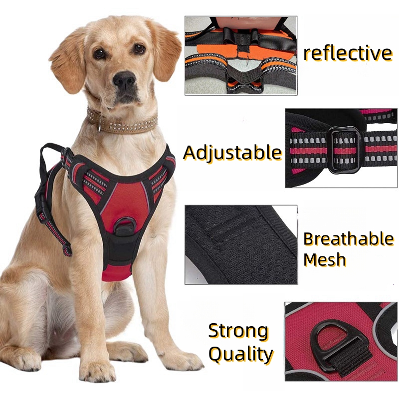 Harnais anti-traction pour chi - No Pull Dog Harness avis et prix