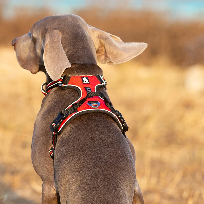 TruelGru- Chien en nylon moulé - No Pull Dog Harness avis et prix
