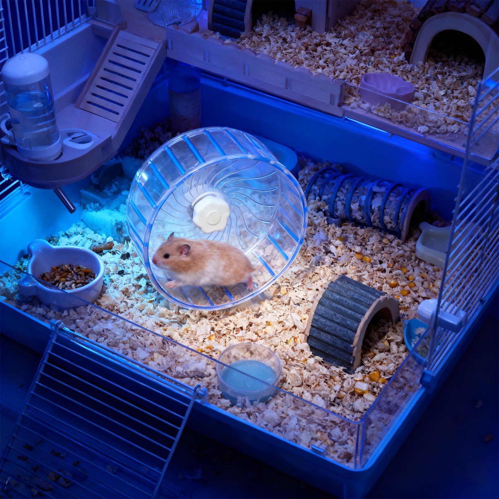 Roue silencieuse pour hamster, - Hamster Cage Wheel avis et prix