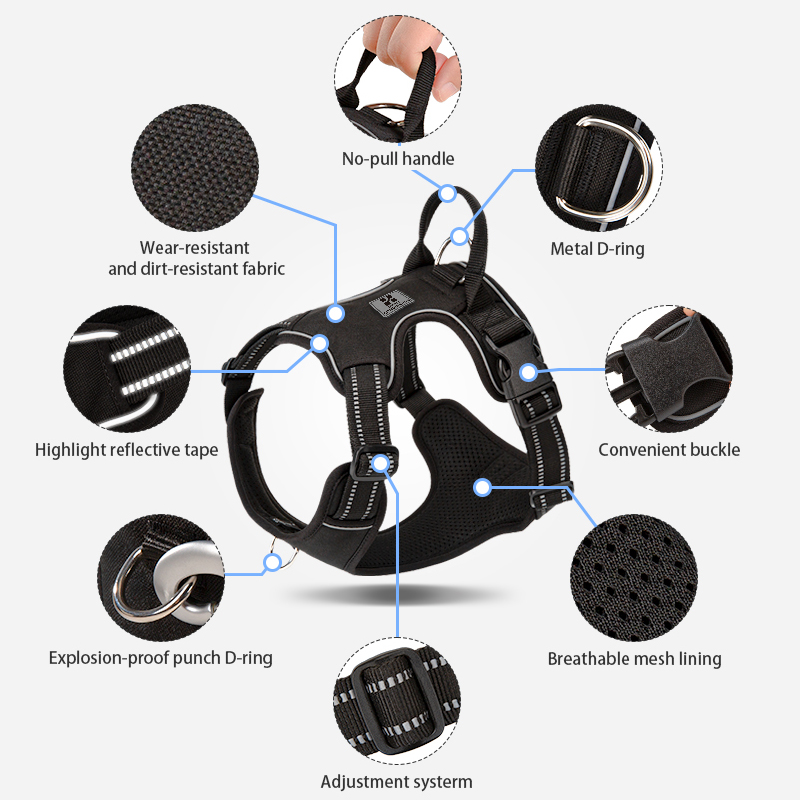 PETIT COMBINATION Harnais pour - No Pull Dog Harness avis et prix