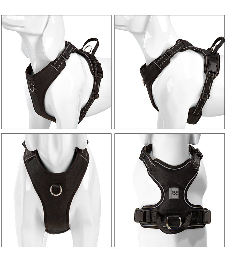 PETIT COMBINATION Harnais pour - No Pull Dog Harness avis et prix