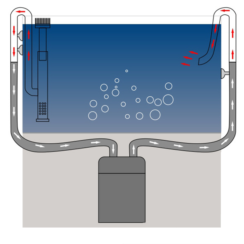 Tuyau de lys en acier inoxydab - Aquael Filter Fzn avis et prix